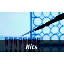 Exalpha/Agarose Nr/10 g/Agarose Nr.3